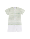 ( IN STOCK ) Deolinda Green Stripe Collection